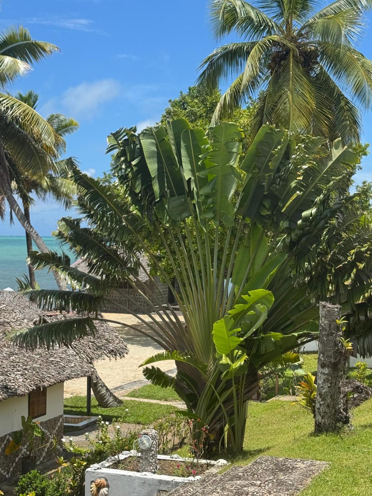 Mora Mora Resort Ankoalamare Esterno foto